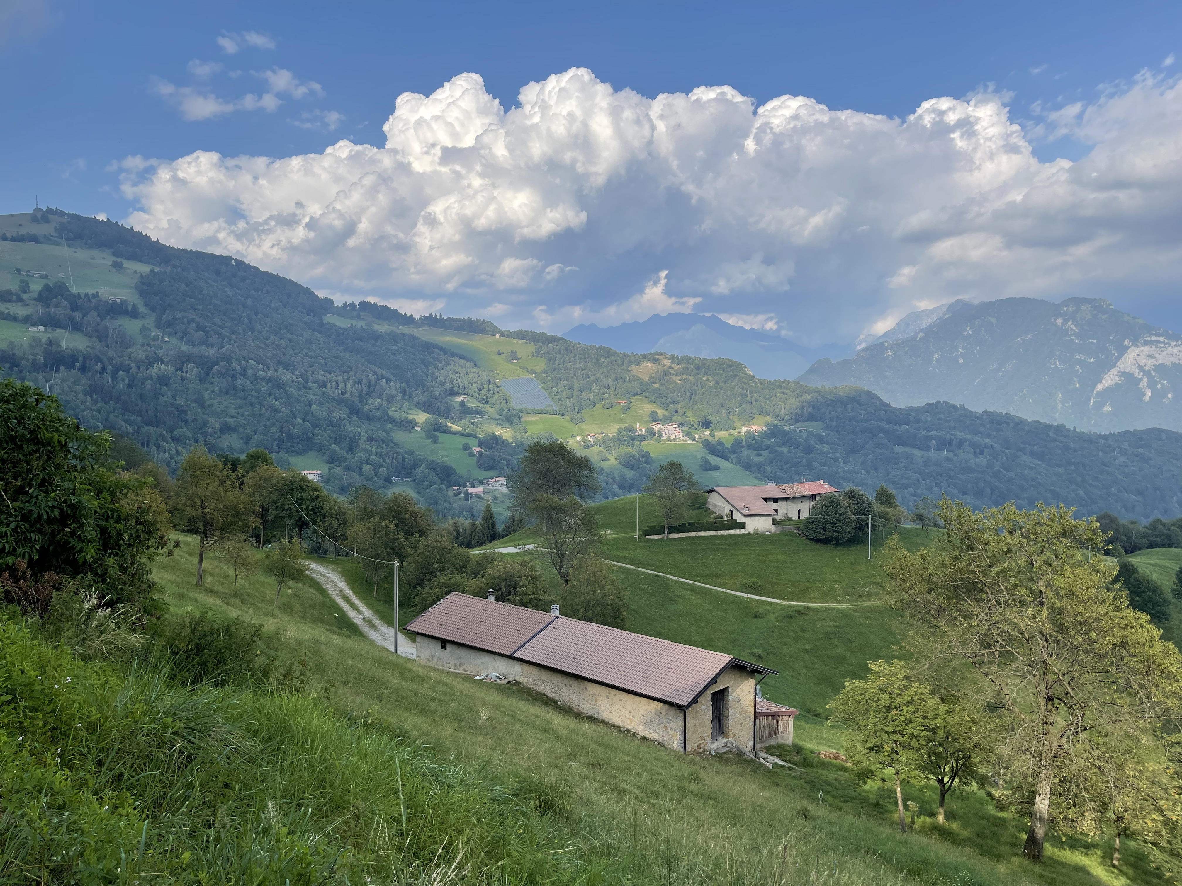 La Torre Ca' Bianca e strada Ca' Bianca Piazzari